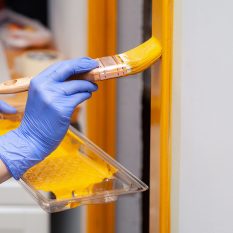 Closeup woman hand in purple rubber glove with paintbrush painting natural wooden door with orange paint. Concept colored bright creative design interior for young family. How to Paint Wooden Surface